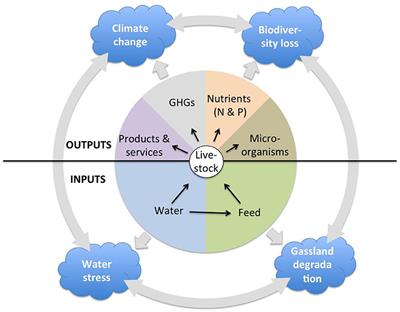 A Comparative Overview of the Livestock-Environment Interactions in Asia and Sub-saharan Africa